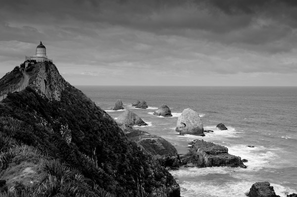 New Zealand 083